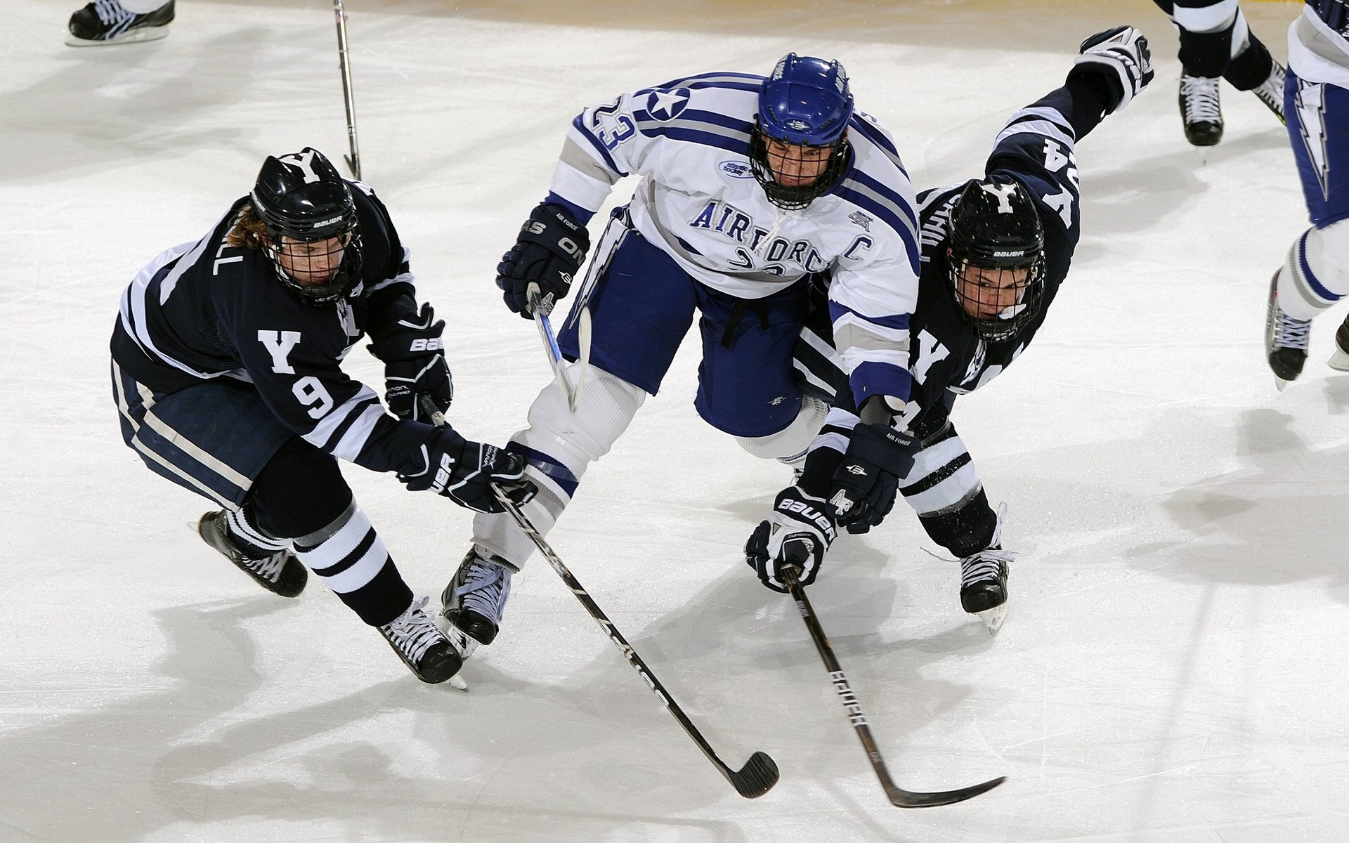_老将经验如金,奇才稳扎稳打_,经验丰富的老将
